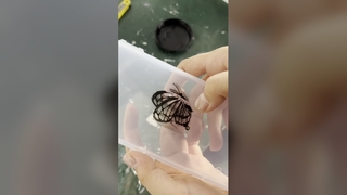 UV LED 경화 시스템 빠른 잉크 건조